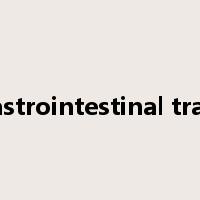gastrointestinal tract是什么意思