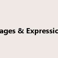 Usages & Expressions是什么意思