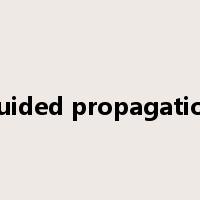 guided propagation是什么意思