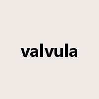 valvula是什么意思
