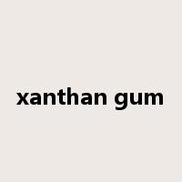 xanthan gum是什么意思