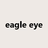 eagle eye是什么意思
