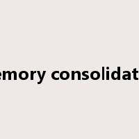 Memory consolidation是什么意思