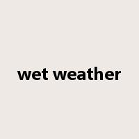wet weather是什么意思