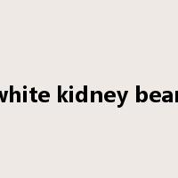 white kidney bean是什么意思