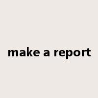 make a report是什么意思