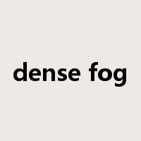 dense fog是什么意思