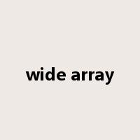 wide array是什么意思
