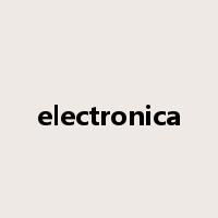 electronica是什么意思