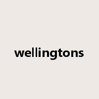wellingtons是什么意思