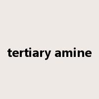 tertiary amine是什么意思