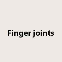 Finger joints是什么意思