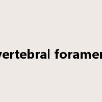 vertebral foramen是什么意思