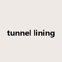 tunnel lining是什么意思