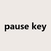 pause key是什么意思