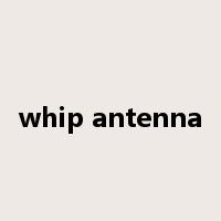 whip antenna是什么意思