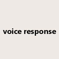 voice response是什么意思