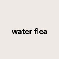 water flea是什么意思