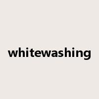 whitewashing是什么意思