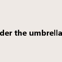 under the umbrella of是什么意思