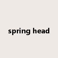 spring head是什么意思