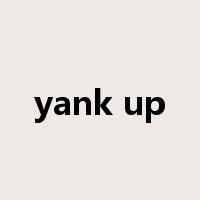 yank up是什么意思
