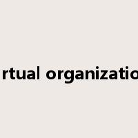 virtual organization是什么意思