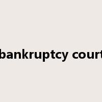 bankruptcy court是什么意思