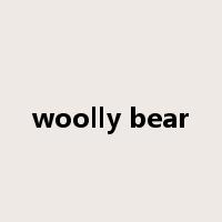 woolly bear是什么意思
