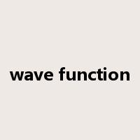 wave function是什么意思