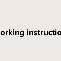 working instruction是什么意思