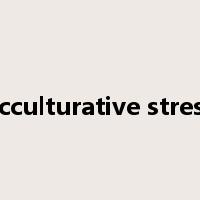 acculturative stress是什么意思