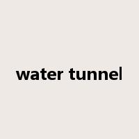 water tunnel是什么意思