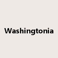 Washingtonia是什么意思