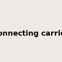 connecting carrier是什么意思