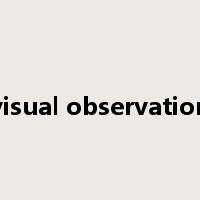 visual observation是什么意思