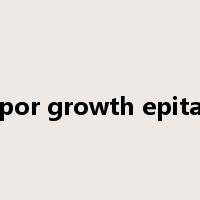 vapor growth epitaxy是什么意思