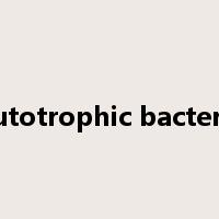 autotrophic bacteria是什么意思