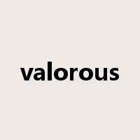 valorous是什么意思