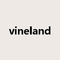 vineland是什么意思