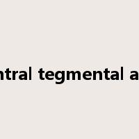 ventral tegmental area是什么意思