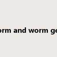 worm and worm gear是什么意思