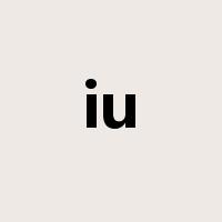 iu是什么意思