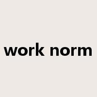 work norm是什么意思