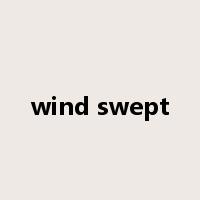 wind swept是什么意思