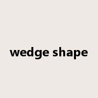 wedge shape是什么意思