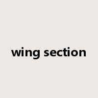 wing section是什么意思