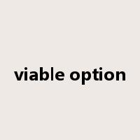 viable option是什么意思