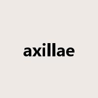 axillae是什么意思