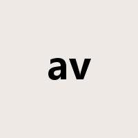 av是什么意思